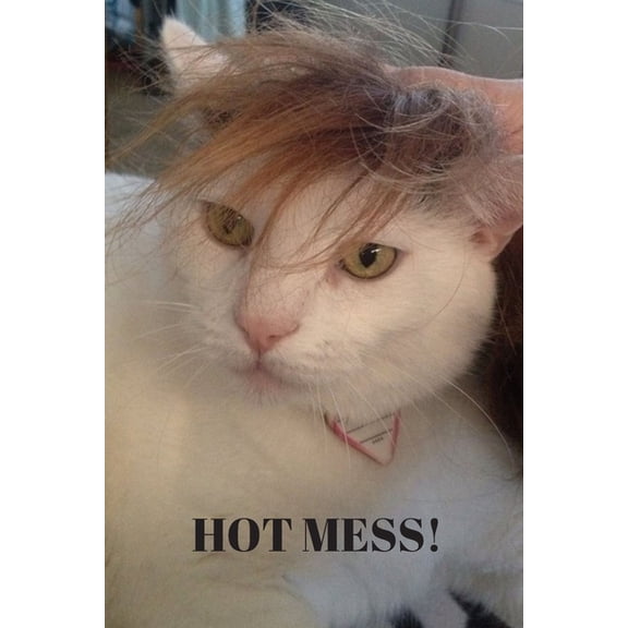 HOT MESS! Paperback 1079021167 9781079021165 Lisa Chase