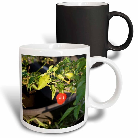 3drose, Hot Pepper Design, 11oz Magic Transforming Mug