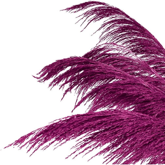 Hot Pink Dried Pampas Grass for Vase Decor 8 Pieces Natural Feather Flowers 31.5 Inches Tall