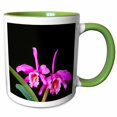 thumbnail image 1 of 3drose, Hot Pink Orchids on Black, 15oz Two-tone Green Mug, 1 of 6