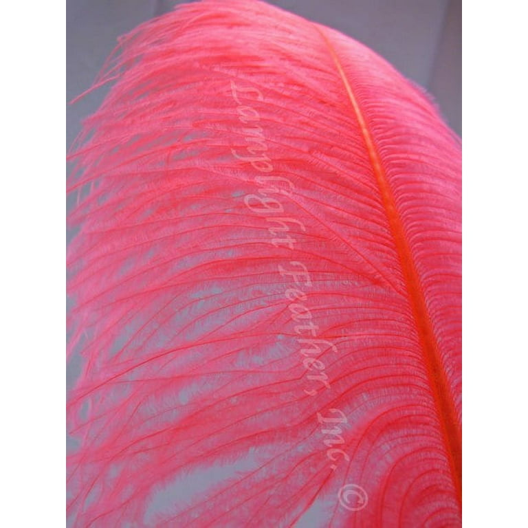 10 Natural Leather Pink Ostrich Feathers for Wedding Table