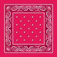 thumbnail image 1 of Hot Pink Paisley Bandana - Single PGece 14x14, 1 of 1