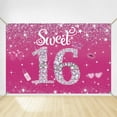 Hot Pink Sweet 16 Backdrop Princess Girls 16th Birthday Party