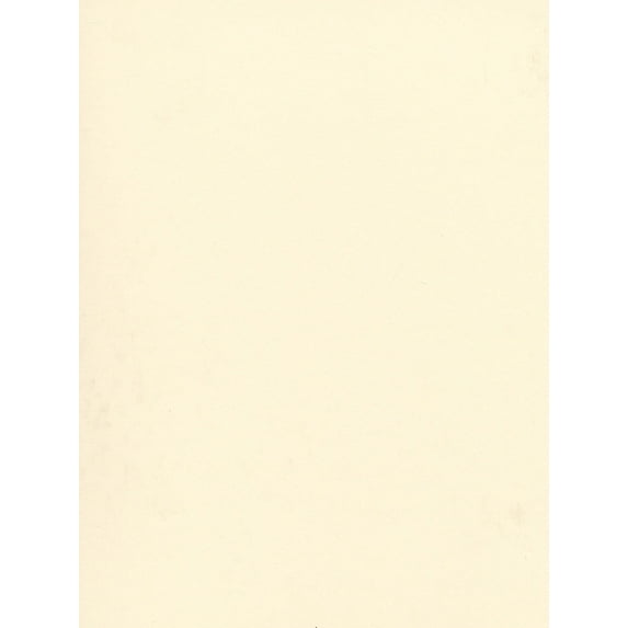 Hot Press Illustration Boards 15 in. x 20 in., each, no. 201 (pack of 15)