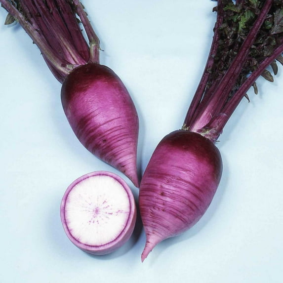 Hot Radish Seeds - AKA Karaine - Hybrid - 1 g Packet ~115 Seeds - Non-GMO, F1 Hybrid - Asian Garden Vegetable