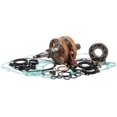 thumbnail image 1 of New Hot Rods Bottom End Kit For Honda CRF 250 R 06 07 CBK0194, 1 of 1