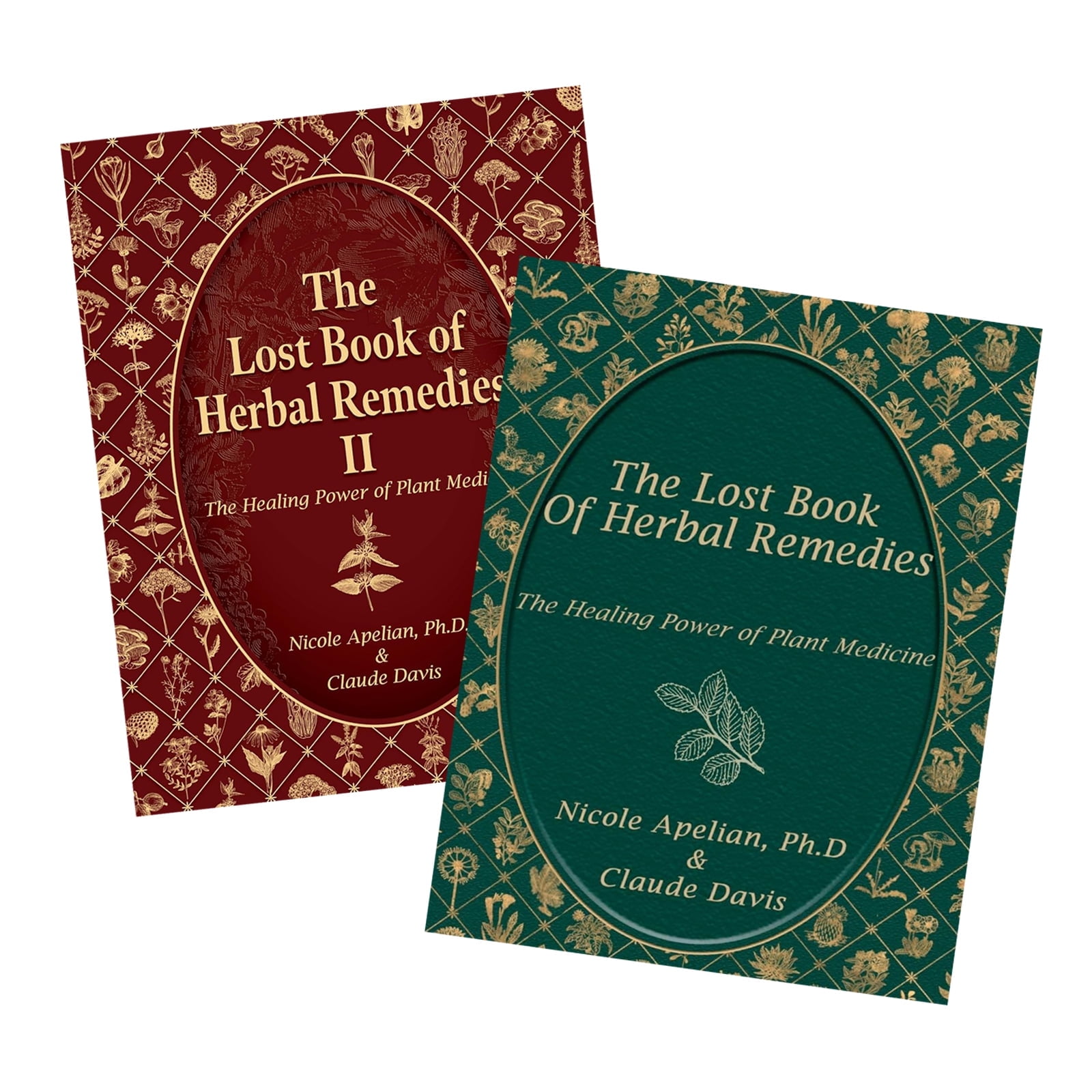 Hot Sale Books The Lost Book of Herbal Remedies I&II A Comprehensive