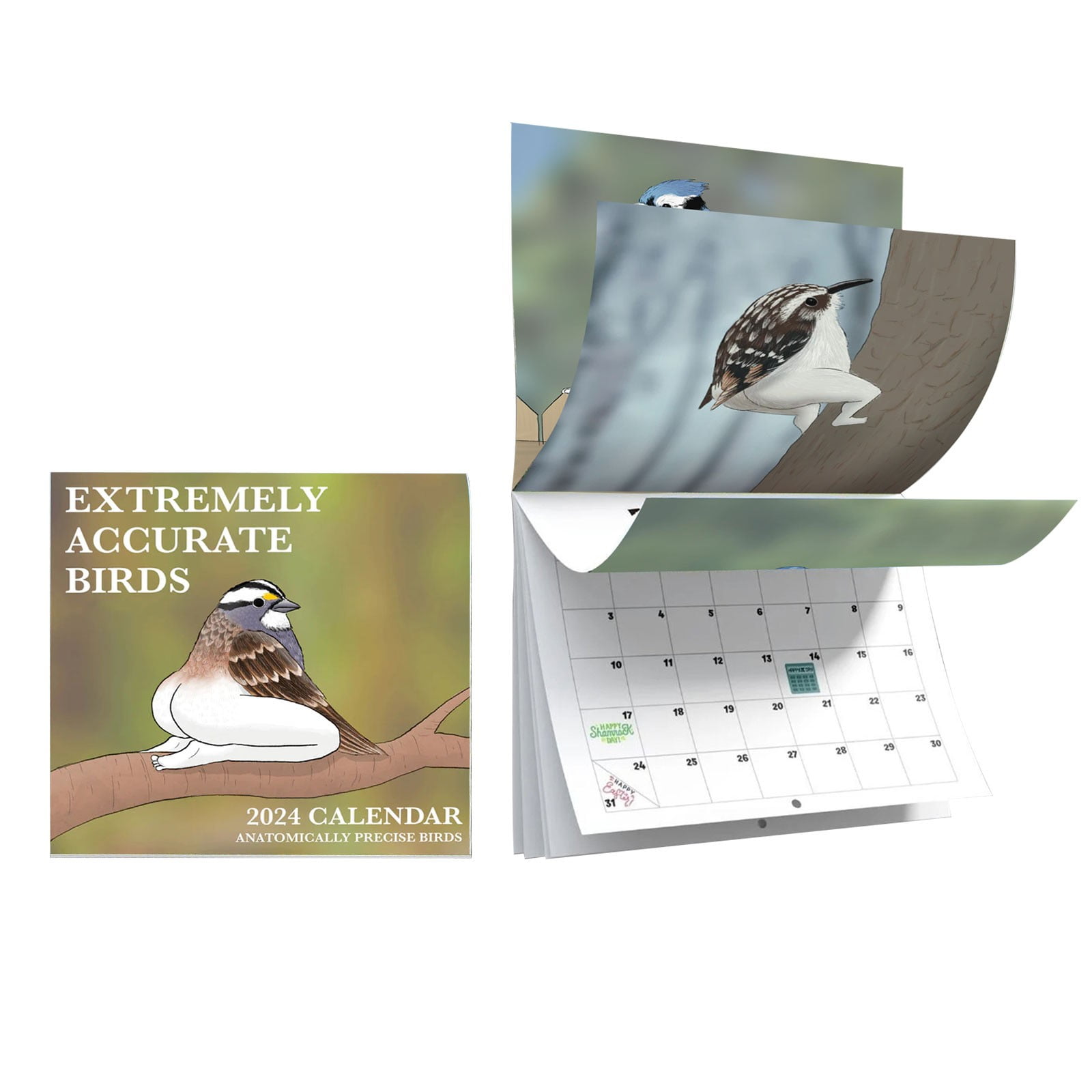 Hot Sales!Calendar 20252026 2024 Calendar of Extremely Accurate Birds