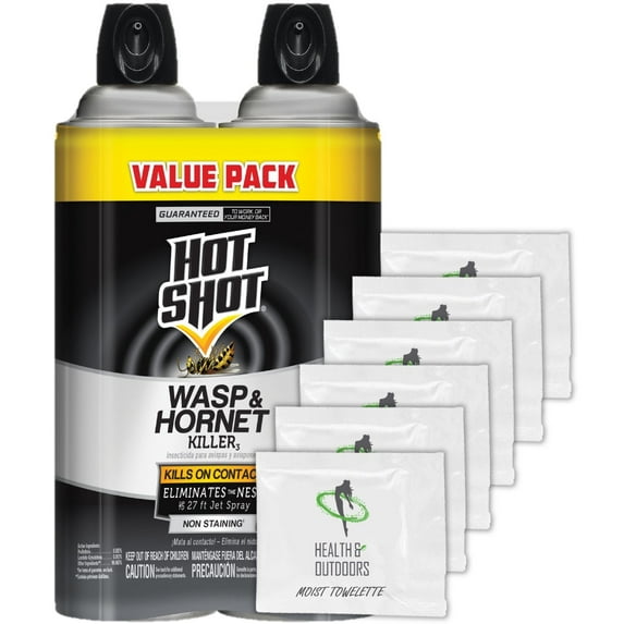 Hot Shot 14 oz Wasp and Hornet Killer Spray (2 PACK) Plus BONUS HAO Towelettes