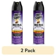 (2 pack) Hot Shot Bed Bug Killer Aerosol, Bed Bug Treatment, Non