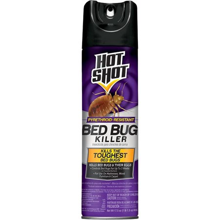 12-pack Hot Shot Bed Bug Killer Aerosol Spray - Insecticide, Indoor Use - 12 Pack, 17.5 oz — Residential Use, Standard Application