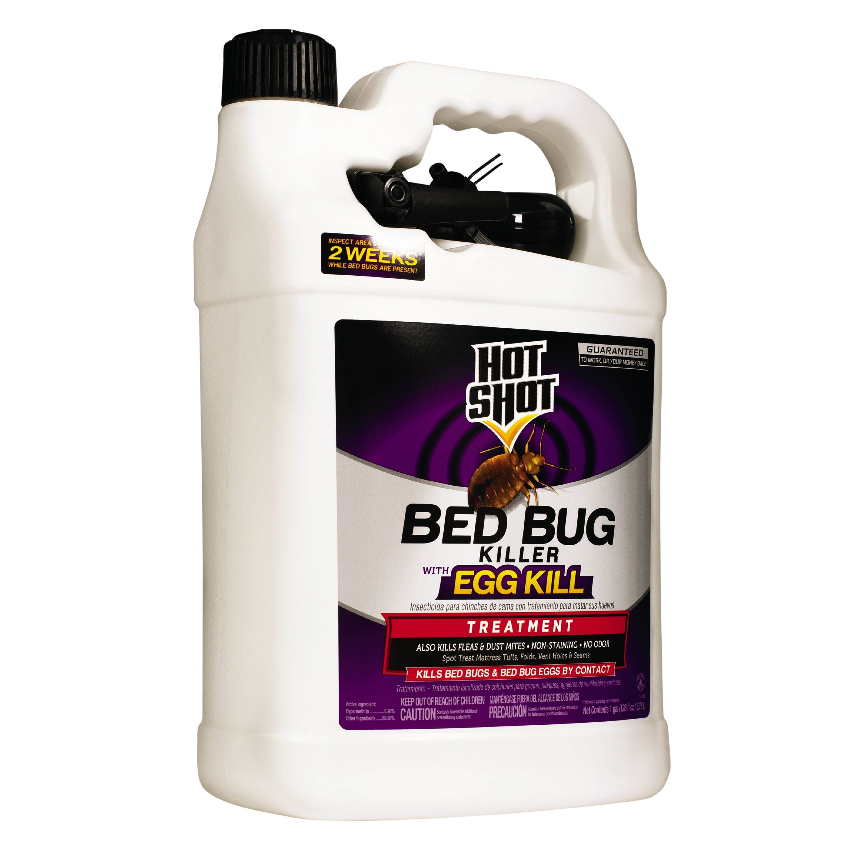 Hot Shot Bed Bug Killer Spray Kills Bed Bugs and Eggs Indoors Non Staining 1 Gallon Walmart