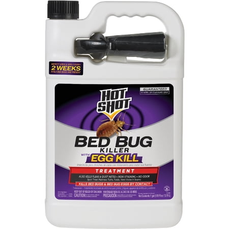 Hot Shot Bedbug & Flea Home Insect Killer Ready-to-Use - Insecticide Spray - 1-Gallon — Residential Use, Standard Application