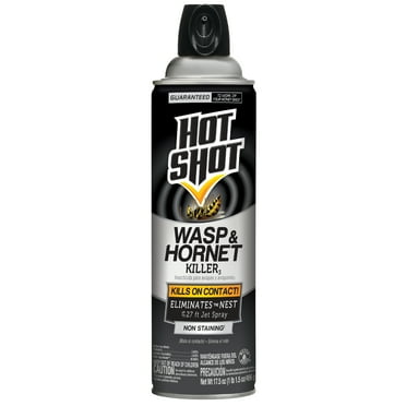 Hot Shot Outdoor Wasp & Hornet Killer Aerosol, 17.5 Ounces