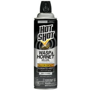 Hot Shot Wasp & Hornet Killer Outdoor Aerosol Spray, 17.5 Ounces