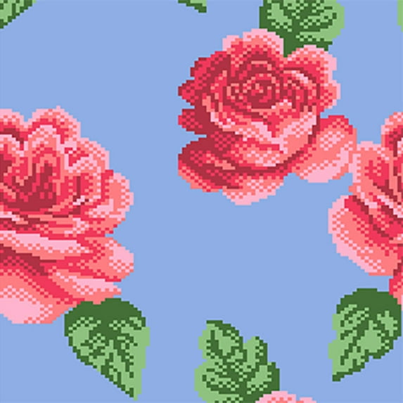 Hot Sox Women casual socks