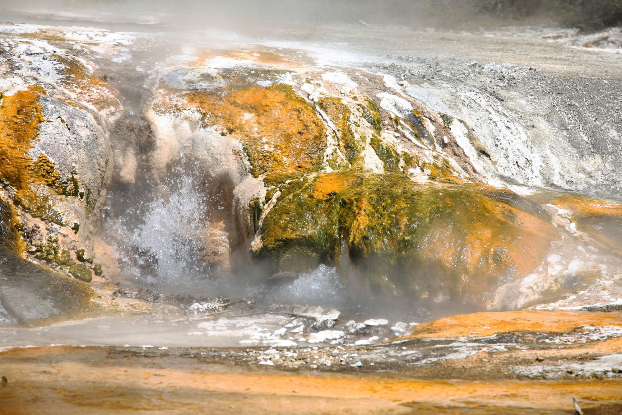 Hot Spring Warbrick Terrace geothermal area Waimangu Valley New Zealand Canvas Art - Richard RoscoeStocktrek Images (18 x 12)