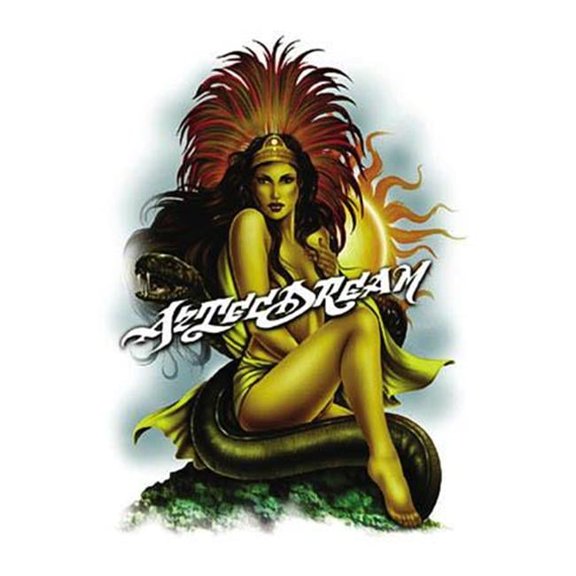 Hot Stuff 1048-16x20-LA Aztec Heat Poster