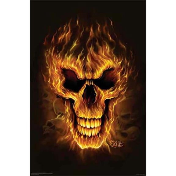 Hot Stuff 1058-16x20-SD Flame Skull Poster