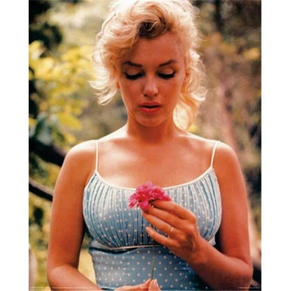 Hot Stuff 1994-08x10-CE 8 x 10 in. Marilyn Monroe Flower Celebrity Poster Print by Sam Shaw