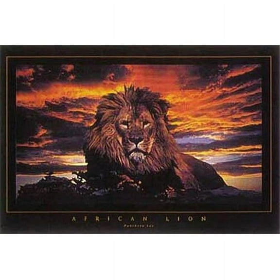Hot Stuff 445-24x36_AN 24'' x 36'' Lion Poster