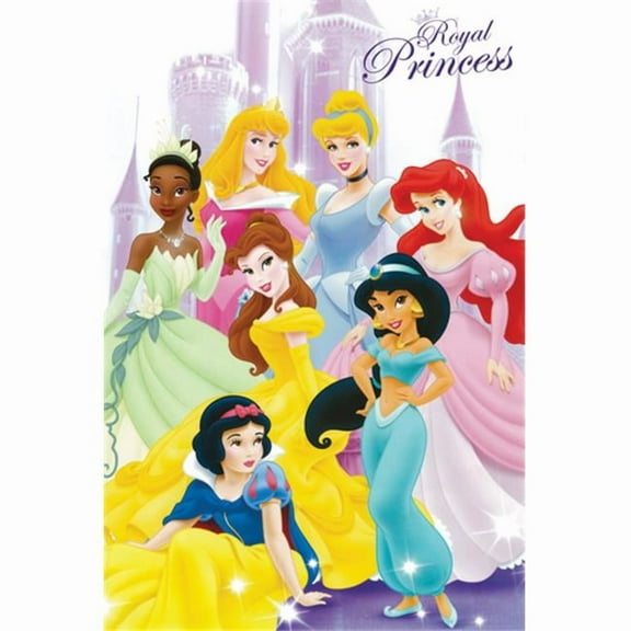 Hot Stuff Enterprise Z73-24x36-NA Disney Royal Princess Poster- 24 x 36