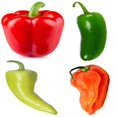 thumbnail interactive-video image 1 of Yellow Hot Jalapeno Pepper Seeds - Caloro, NON-GMO Heirloom - Free Shipping 1 of 3