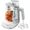 Hot Tea Maker Glass Electric Kettle with Tea Infuser and Temperature