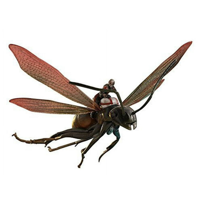 Little Hero, Big Screen: The Entomology Of 'Ant-Man' : NPR