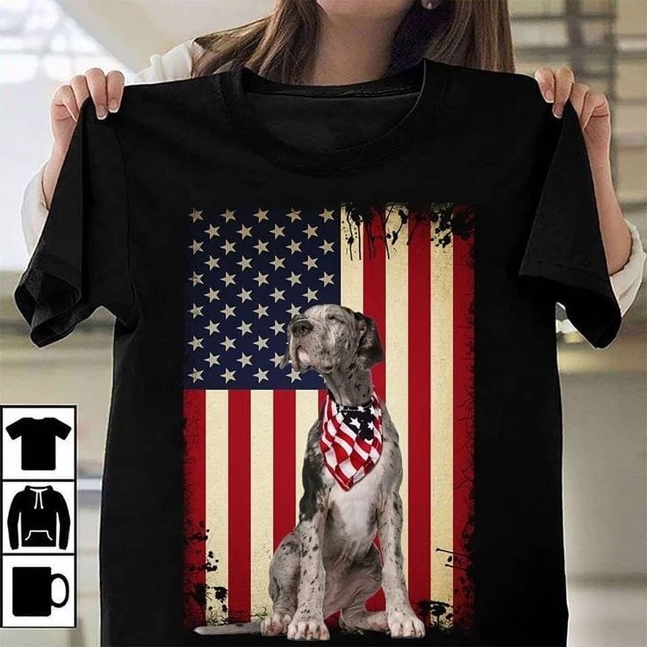independence day and the history of the american flag cool school