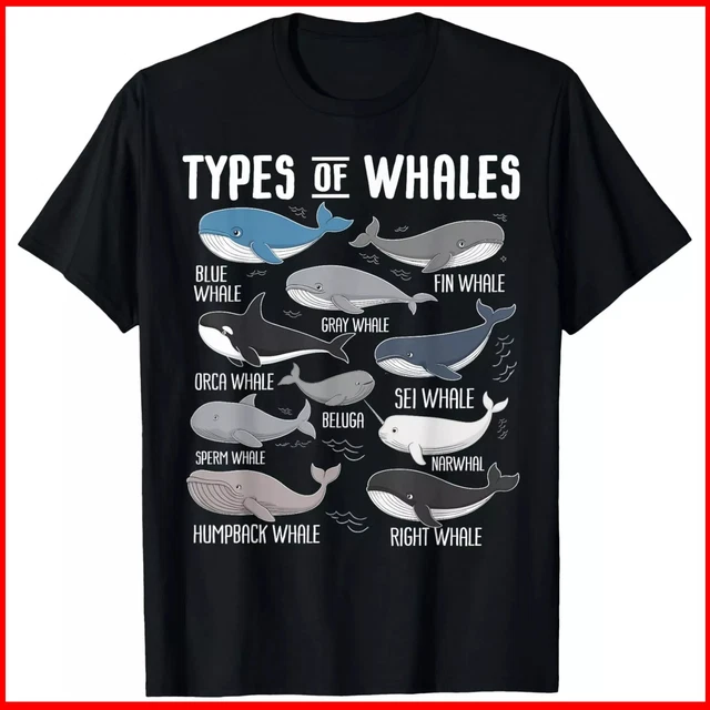 Hot Trending With Cute Types Of Whales Ocean Mammals Guide Whale Black ...