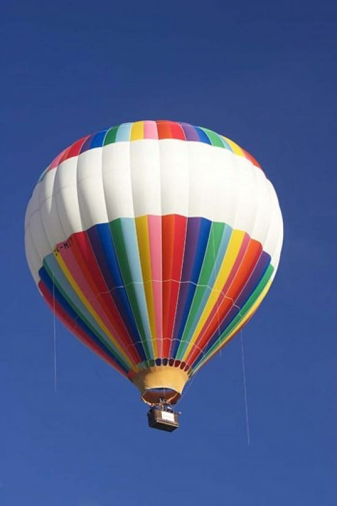 Hot-air Balloon South Island New Zealand Canvas Art - David Wall DanitaDelimont (24 x 35)