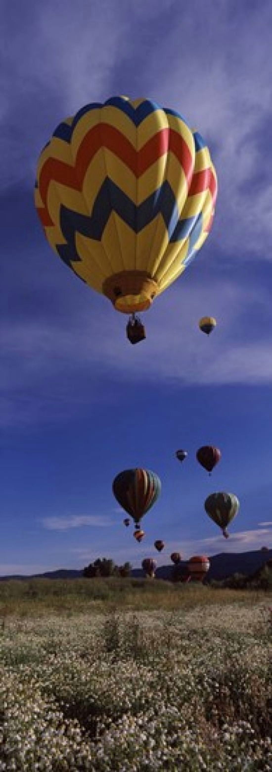 Hot air balloons rising Hot Air Balloon Rodeo Steamboat Springs Routt County Colorado USA Canvas Art - Panoramic Images (36 x 13)