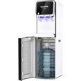 Hot and Cold Bottom Loading Water Dispenser Cooler with Self Cleaning