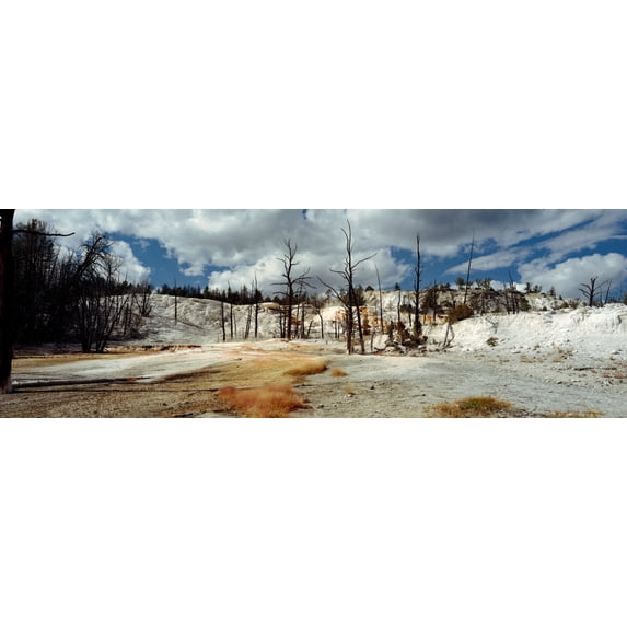 Hot spring on a landscape, Angel Terrace, Mammoth Hot Springs, Yellowstone National Park, Wyoming, USA Poster Print (6 x 18)