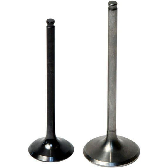 Hotcam 8400008-3 Intake Valve For Yamaha