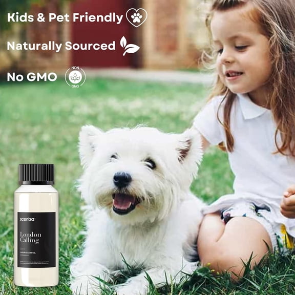 Hotel Diffuser Oil Inspired by Ferrari - 120 ml 4.06 fl oz - Fragrance Oil Blend White Tea, Cedarwood & Soku Lime for Aromatherapy Diffusers and Humidifiers - London Calling, Thanksgiving Gift