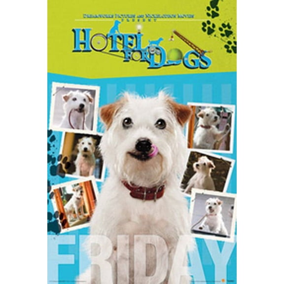 Hotel For Dogs Friday Poster 24-727