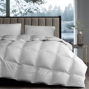 Hotel Grand White Goose Down Fiber Comforter Twin Size - Luxury Hotel Comforter Lightweight Duvet Insert Twin with Corner Loops - 2.5cm Breathable Panel for Summer and Hot Sleeper, 68 x 90