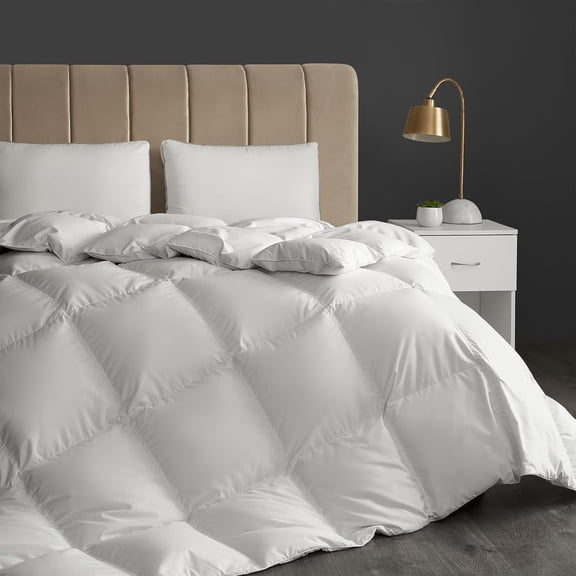 Hotel Grand White Goose Down Fiber Comforter Twin Size - All Season Fluffy Hotel Collection Duvet Insert Twin Medium Warmth Comforter with 1cm Breathable Panel, 68" x 90"