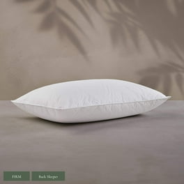 Blue Ridge Home Fashions Down Bed Pillow Walmart