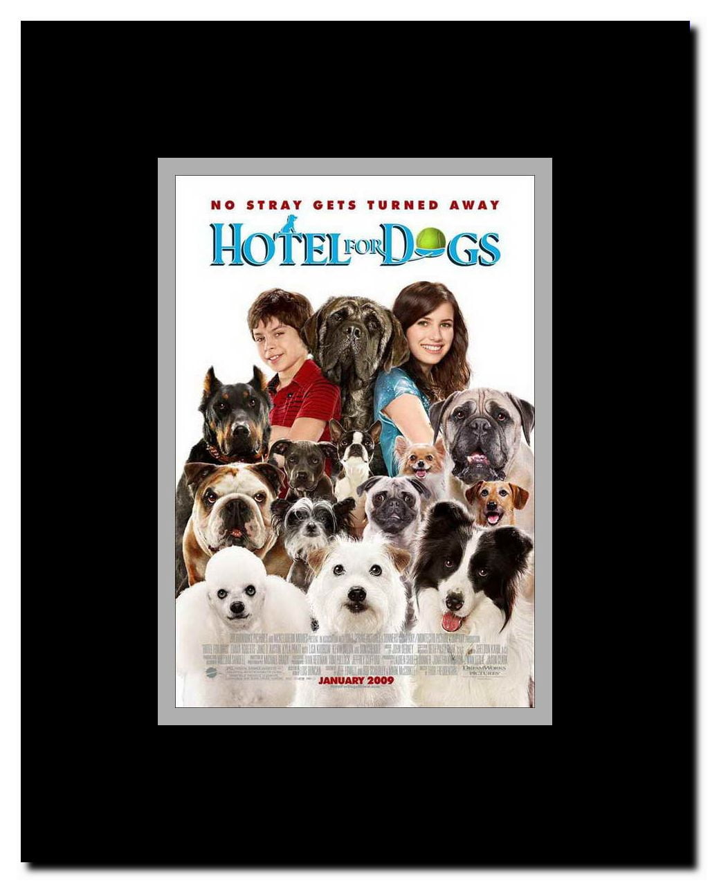 Hotel for Dogs Framed Movie Poster