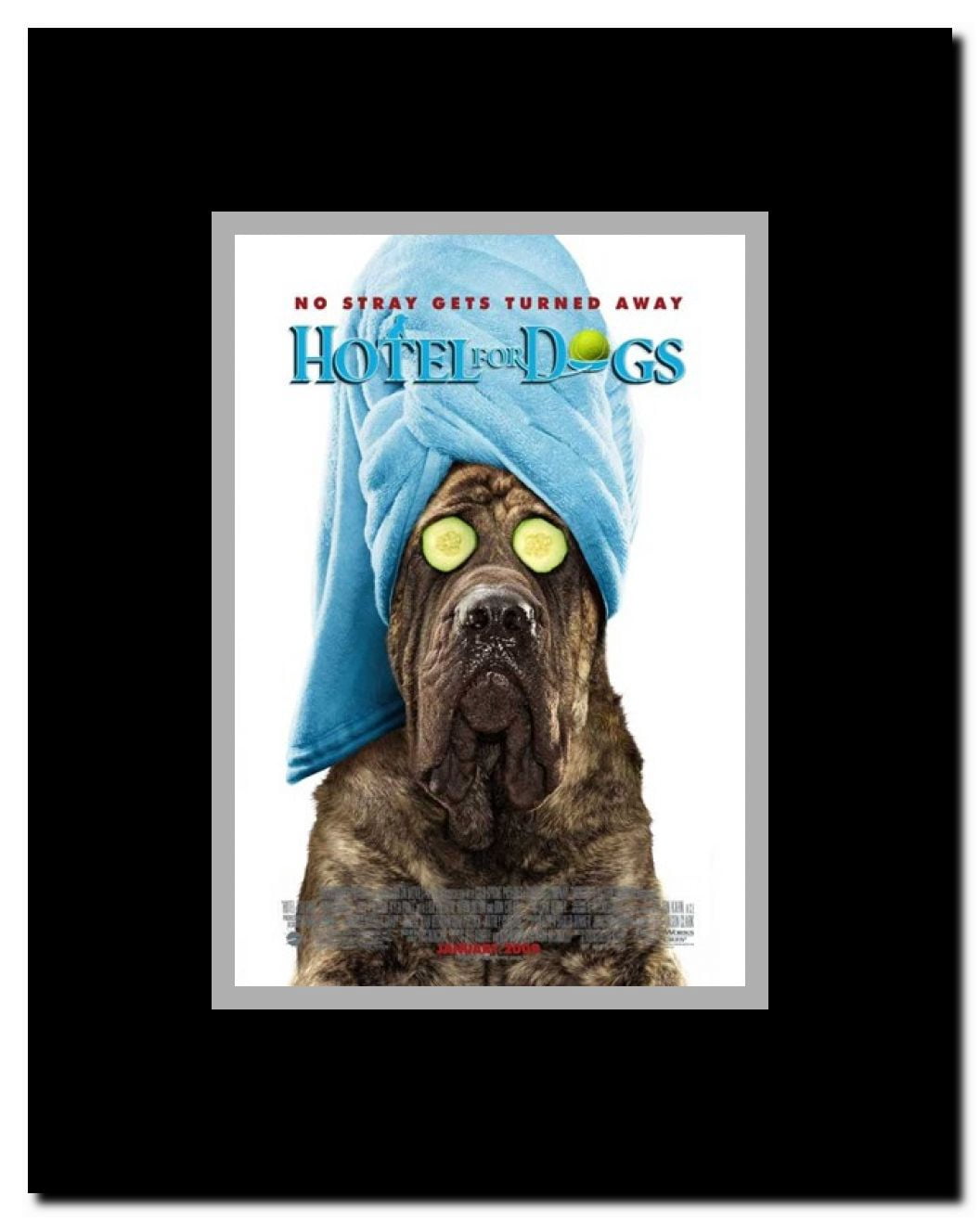 Hotel for Dogs c.2009 - style B Framed Movie Poster