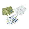 thumbnail image 1 of Hotiary 3-Pack Toddler Baby Boys Soft Cotton Underwear Kids Cartoon Print Breathable Comfy Boxer Briefs Undies Children Assorted Panties for 3-11 Years, 1 of 4