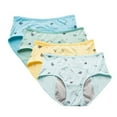 thumbnail image 1 of Hotiary Girls' Breathable and Comfortable Menstrual Underpants Cotton Period Menstrual Leakproof Briefs 4-6Pieces for 8-14 Years Kids Teen, 1 of 10