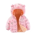 thumbnail image 1 of Hotiary Infant Toddler Baby Winter Fleece Thicken Coats Boys Girls Teddy Bear Hooded Windproof Padded Jacket Outerwear Unisex Warm Lined Zipper Down Jacket for 6 Months-3 Years, 1 of 4