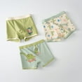 thumbnail image 1 of Hotiary Little Boys Soft Cotton Comfort Panty Childrens' Various Cartoon Patterns Breathable Boxer Briefs (Pack of 3) for 3-11 Years Toddler Kids, 1 of 4