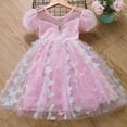 thumbnail image 1 of Hotiary Toddler Baby Girls Tulle Puffy Dress Kids Puff Sleeve Mesh Princess Dress Children Wedding Birthday Party Ball Prom Gown for 3-9 Years, 1 of 8