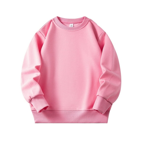 Hotiary Toddler Kids Solid Color Ribbed Long Sleeved Crew Neck Sweatershirt Spring and Autumn Soft Velvet Pullover for Girls 2-8T