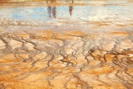 Hotsprings Reflection Canvas Art - Roberta Murray (24 x 36)